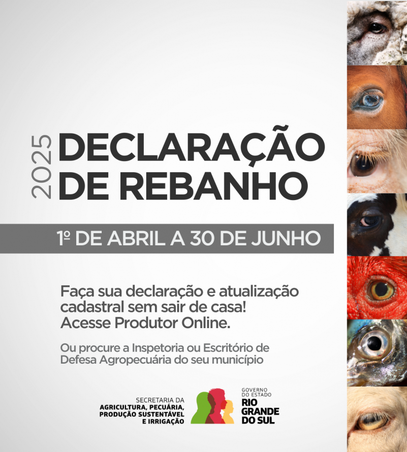 RS: prazo para Declaração Anual de Rebanho começa nesta terça-feira (01/04)