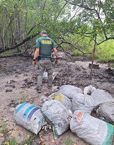 Operação contra a pesca ilegal apreende espécies protegidas no ES