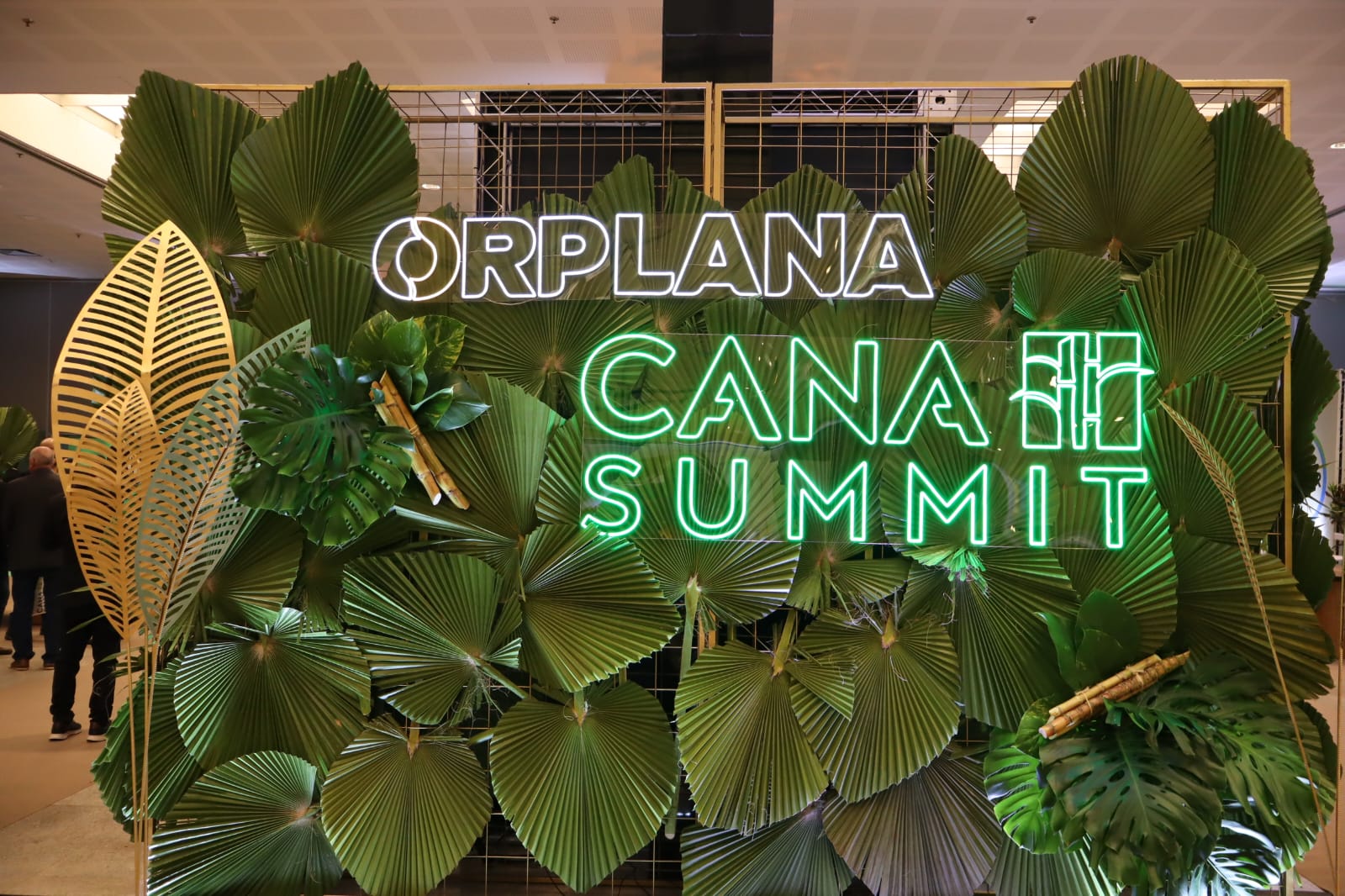 cana summit