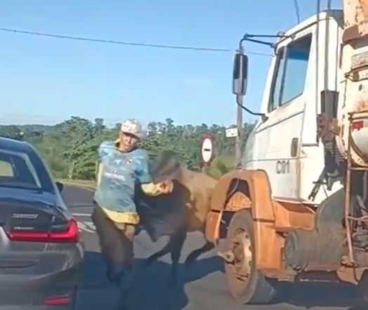​Touro solto causa pânico em Ribeirão Preto