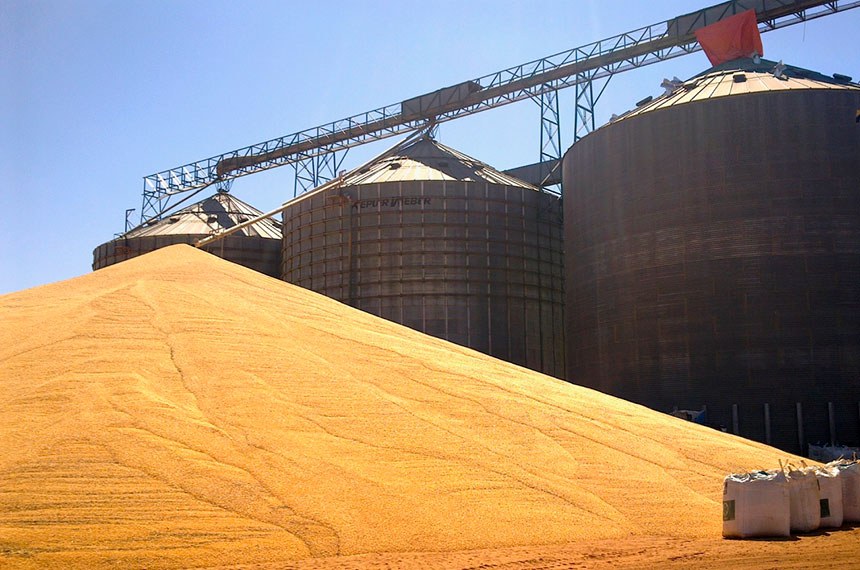 Déficit de armazenagem ameaça produção de grãos no Brasil, aponta estudo