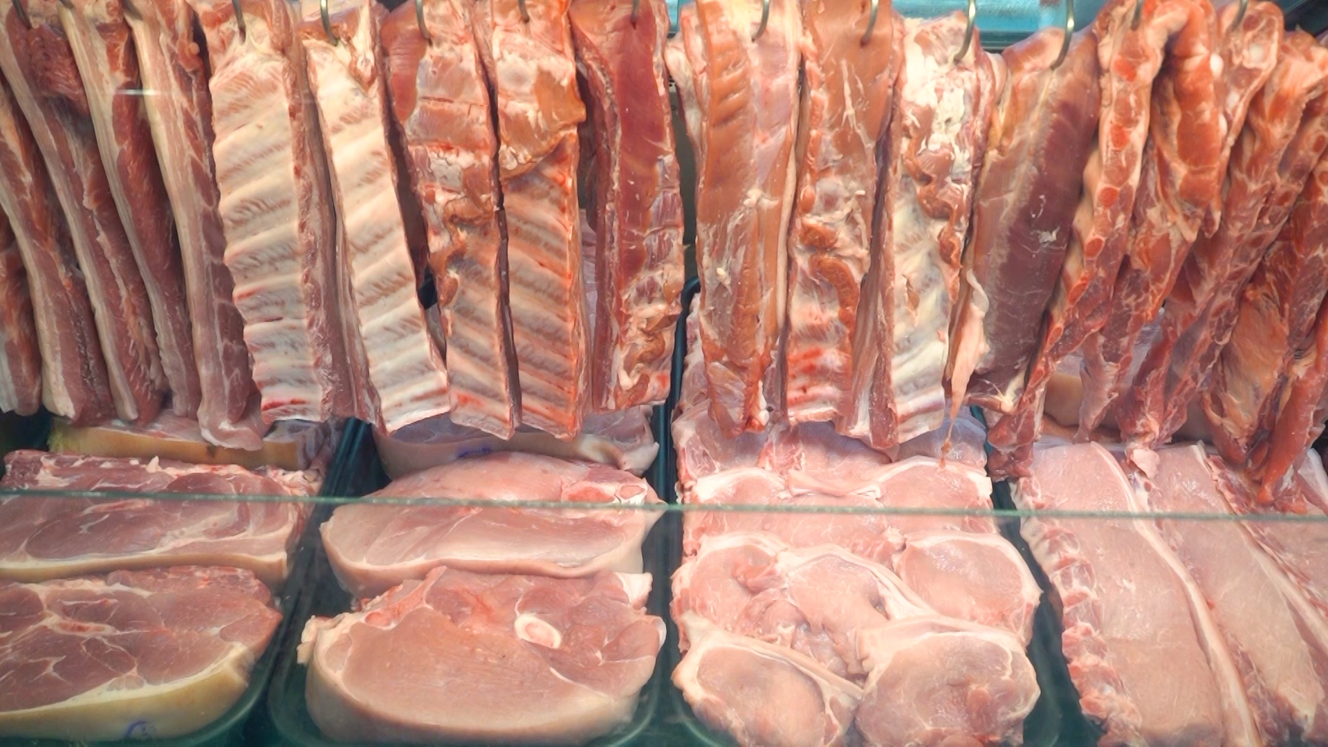 Futuro da proteína animal é destaque em evento
