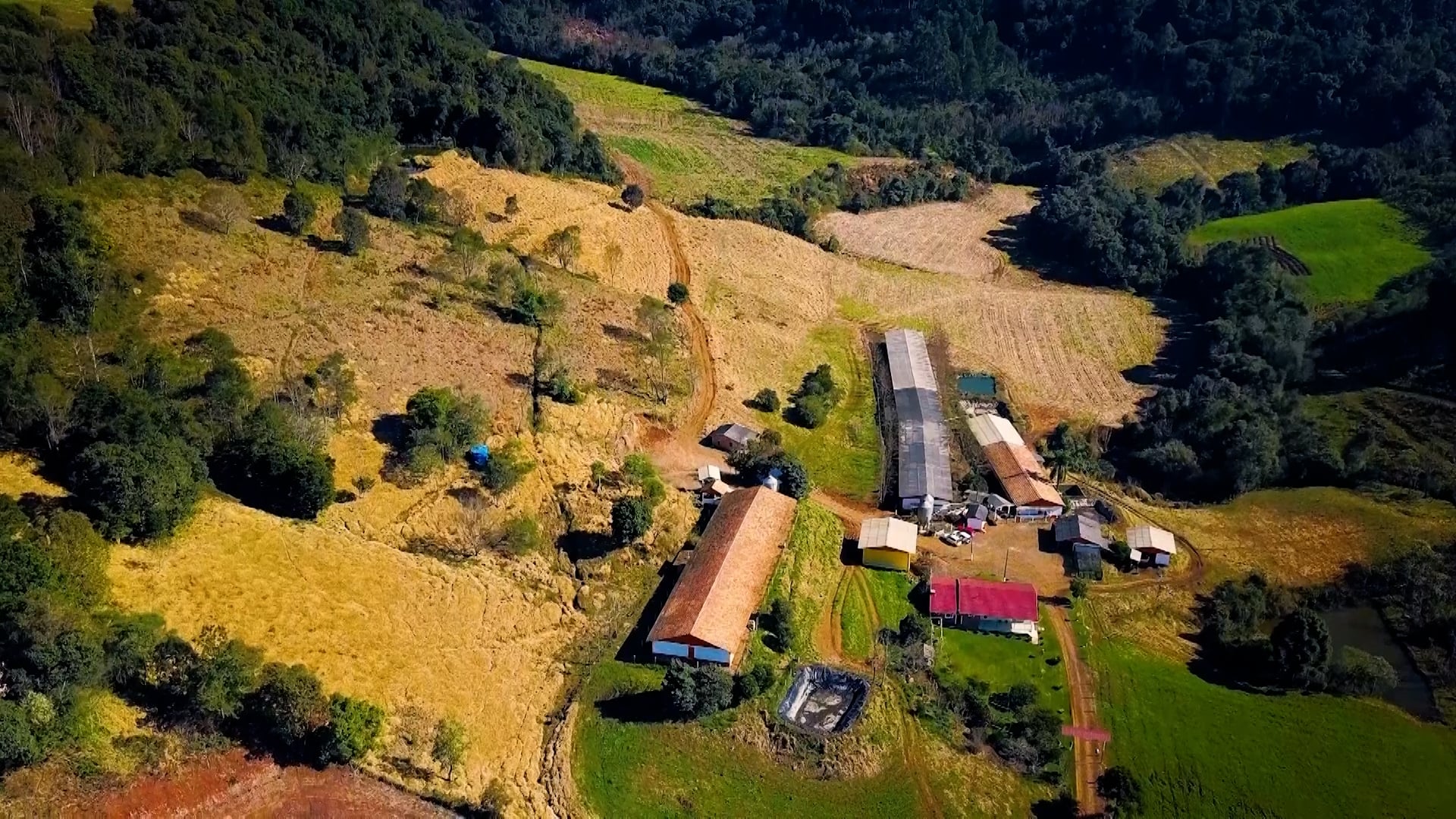 Seguro rural e tecnologia são os alicerces do agro do futuro