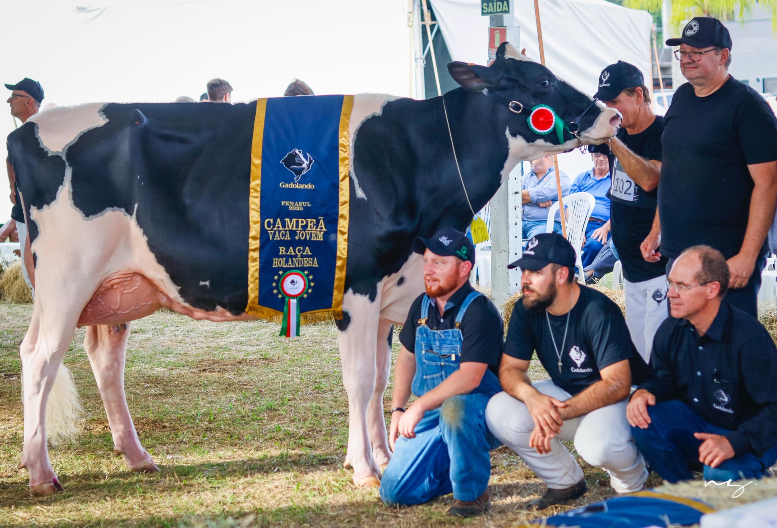 Granja Garzella conquista três títulos no julgamento de gado Holandês na Fenasul Expoleite