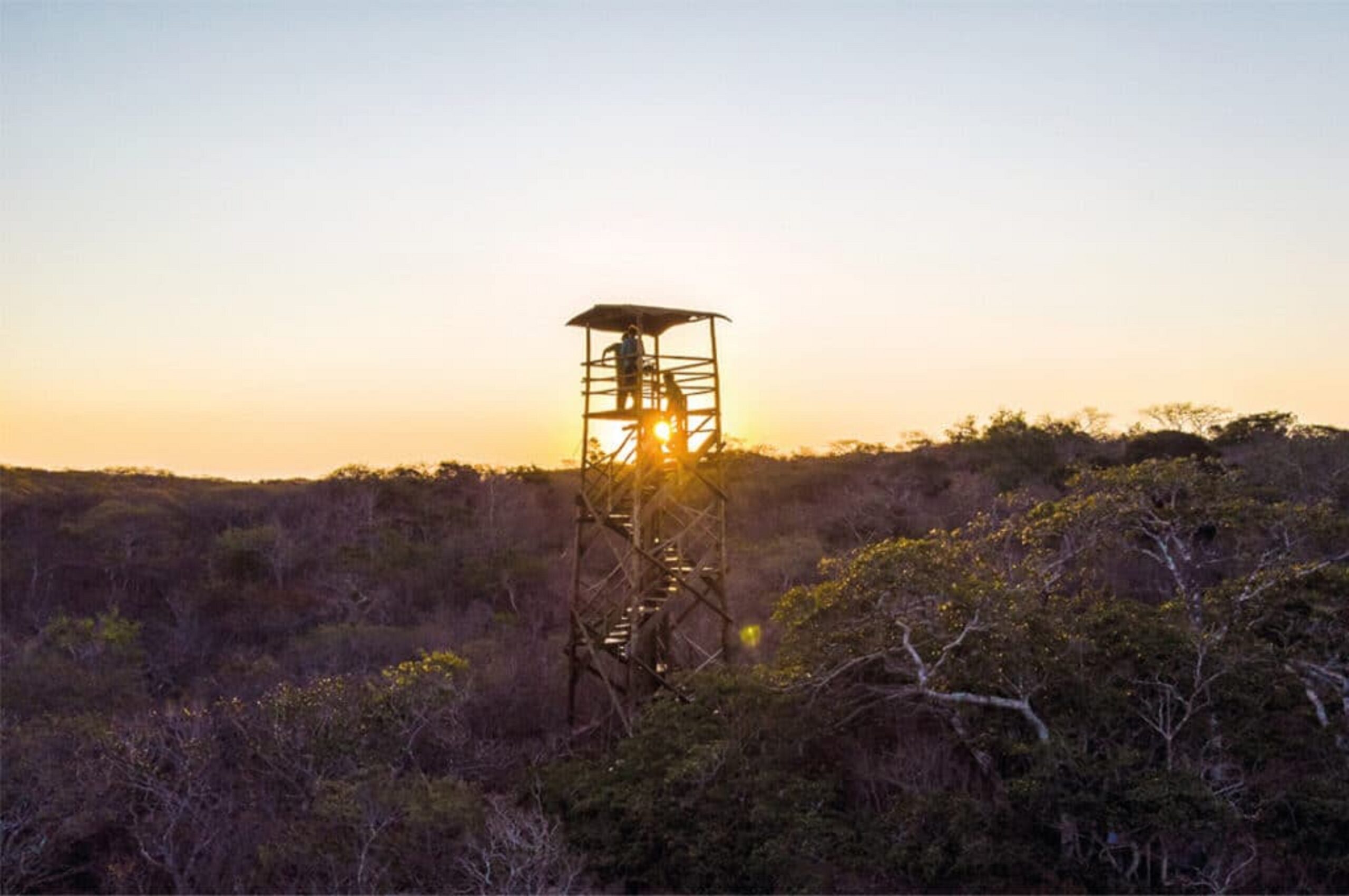 Parceria amplia compromisso com a preservação da Caatinga