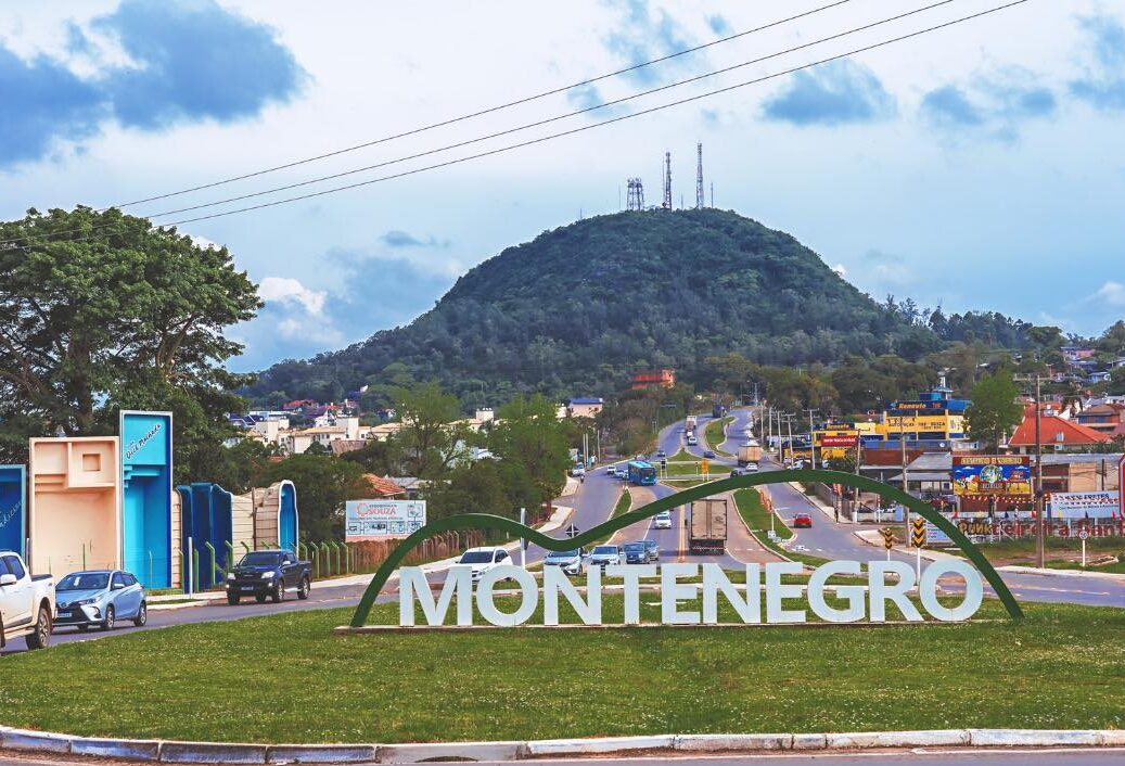 Gripe aviária: Montenegro tem oito frangos por habitante