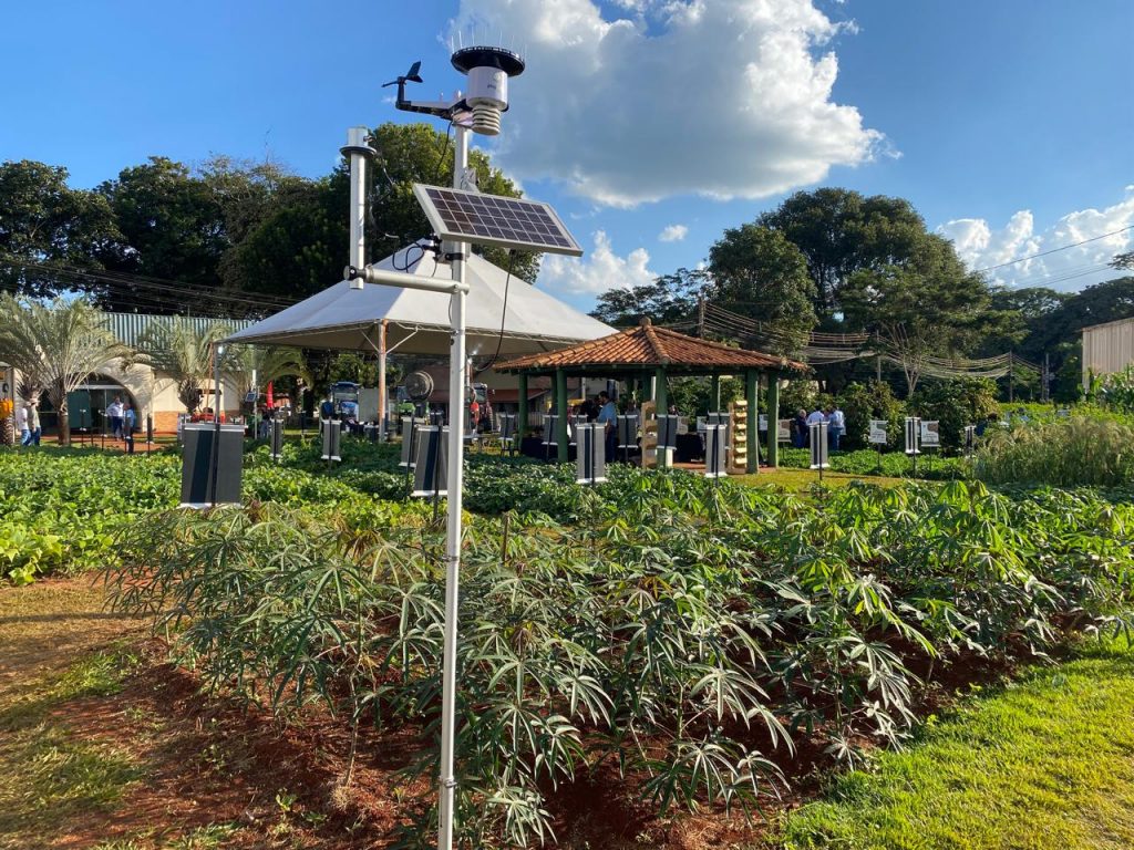 Agro Clima SP: produtor rural terá dados climáticos gratuitos