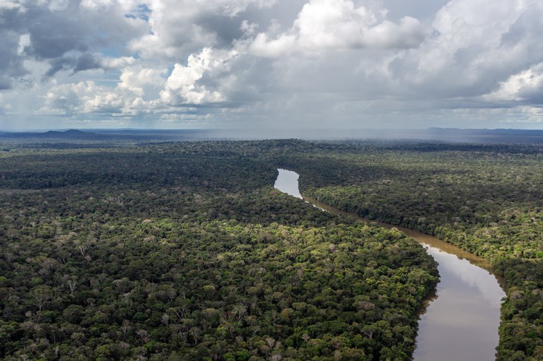 Agricultores familiares podem receber R$ 28 mil por preservação ambiental na Amazônia