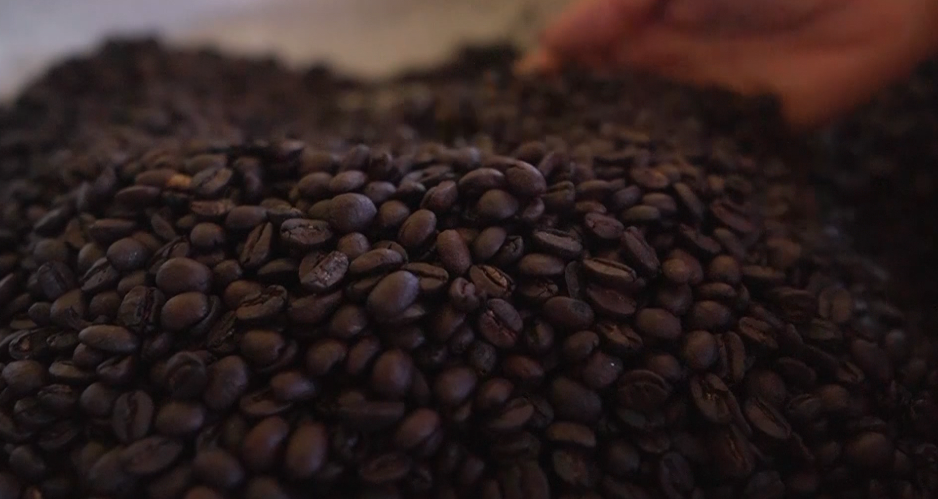 Preço do café atinge maior nível em três meses