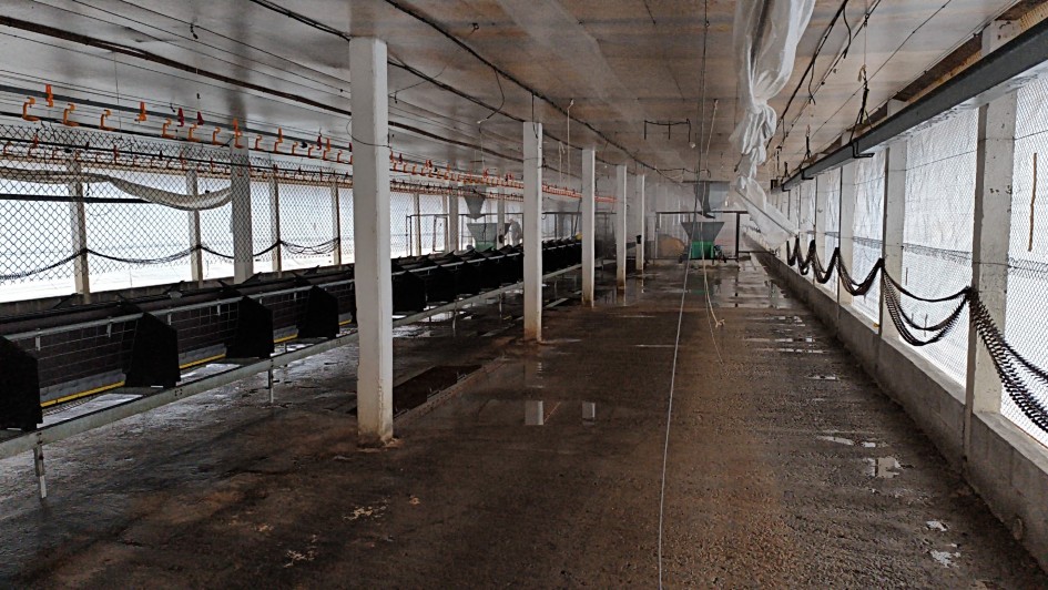 Granja de Montenegro conclui desinfecção e inicia vazio sanitário