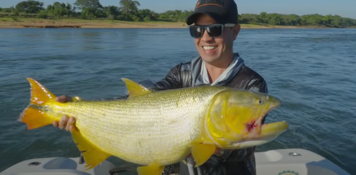 Pesca esportiva: Mato Grosso domina ranking entre os melhores destinos do Brasil