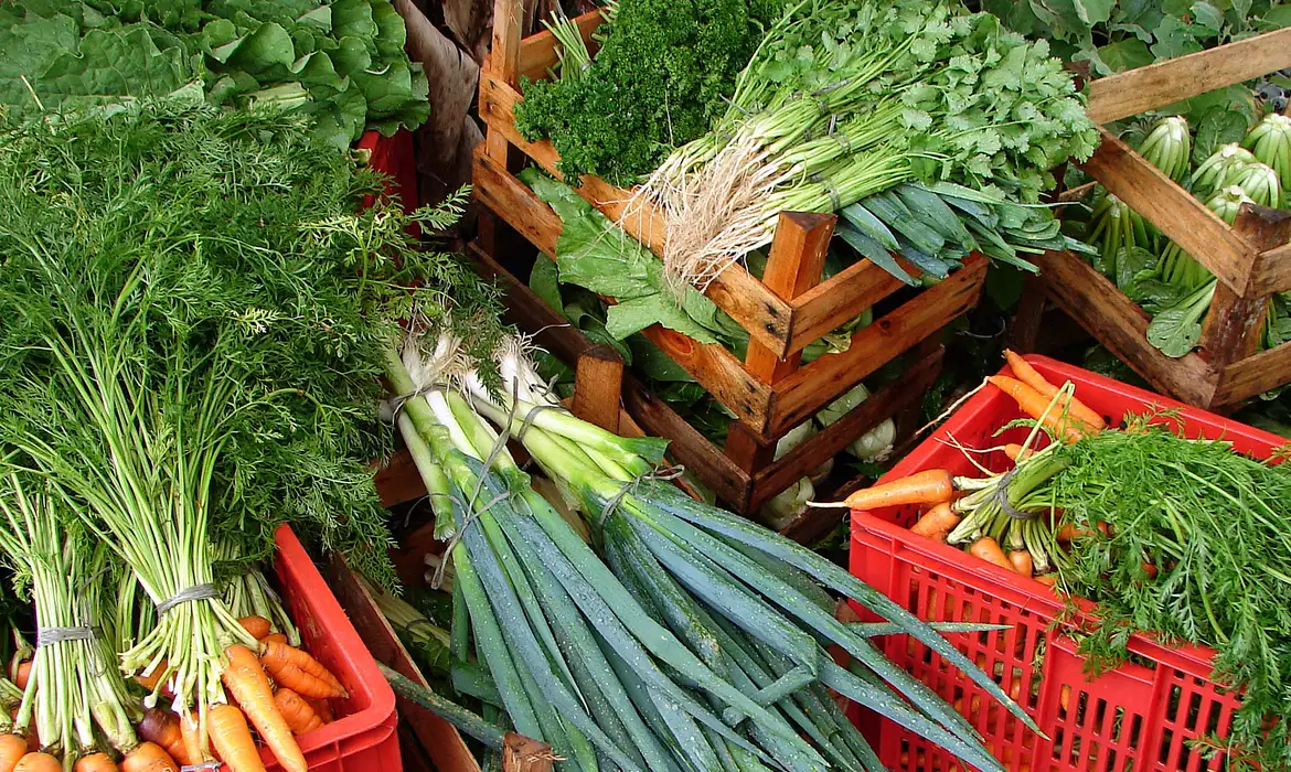 Cesta básica ideal custa R$ 432 por pessoa