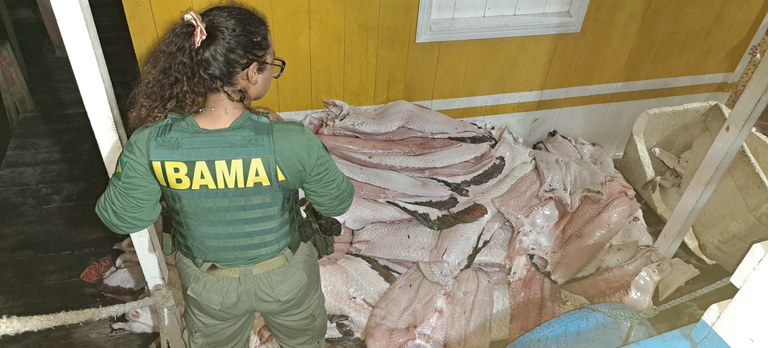 Ibama apreende 4 toneladas de pescado ilegal no Amazonas