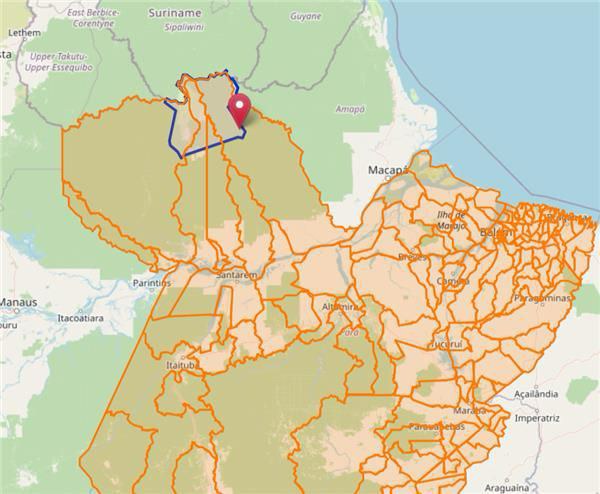 Mapa confirma foco da praga Vassoura-de-Bruxa da Mandioca em território indígena