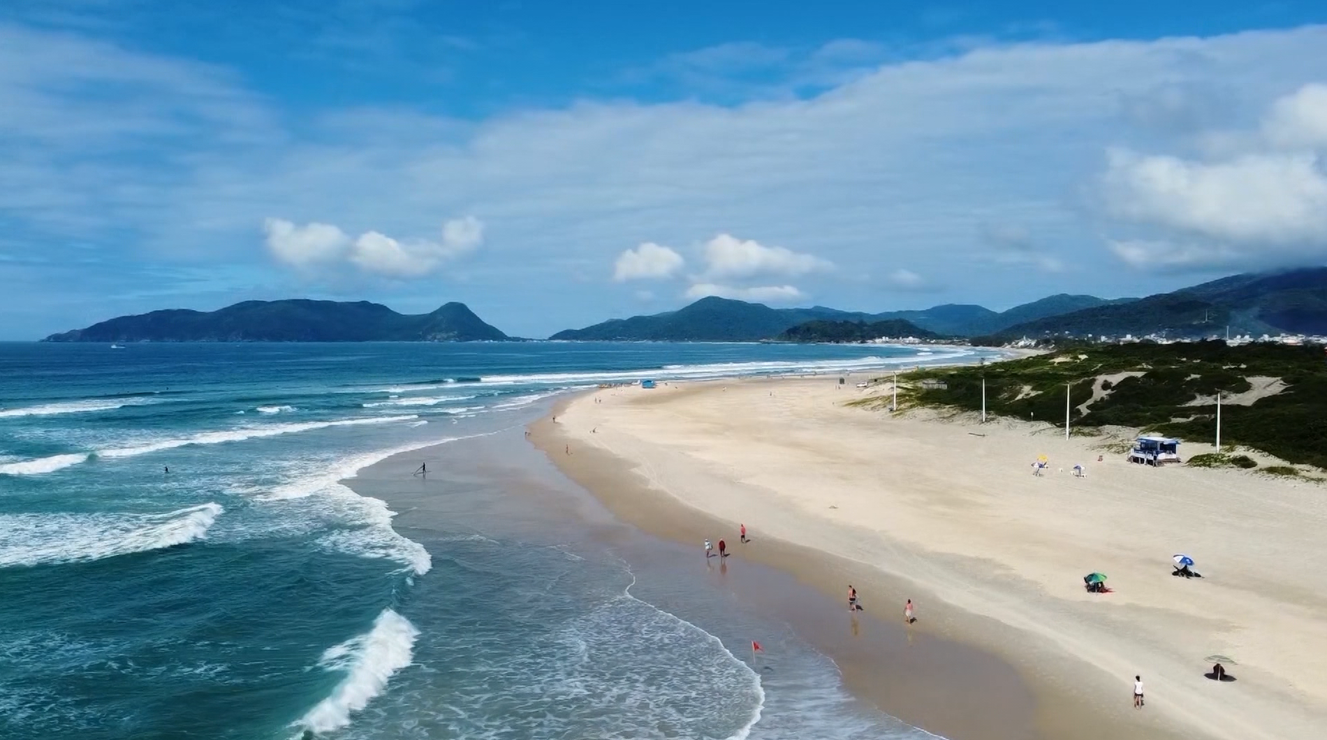 Petrobras investe R$ 3,9 milhões em projeto de cultivo de macroalgas no RN
