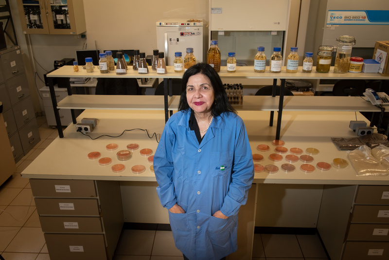 Mariangela Hungria é premiada com ‘Nobel’ da agricultura