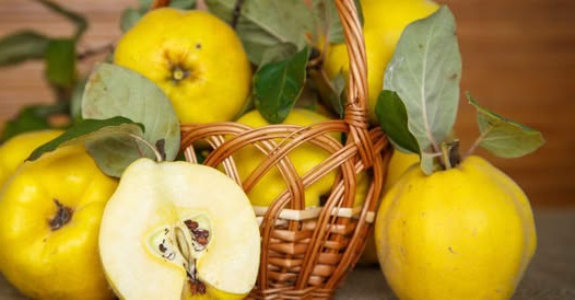 Marmelo: fruta combate acidez estomacal e é rica em fibras