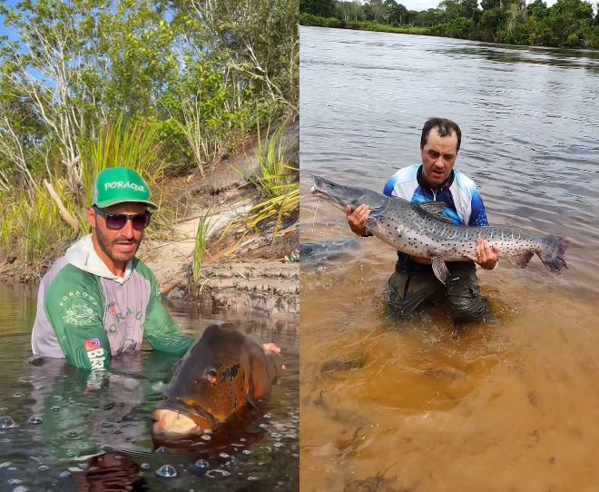 Tucunaré e pintado impulsionam turismo da pesca no país