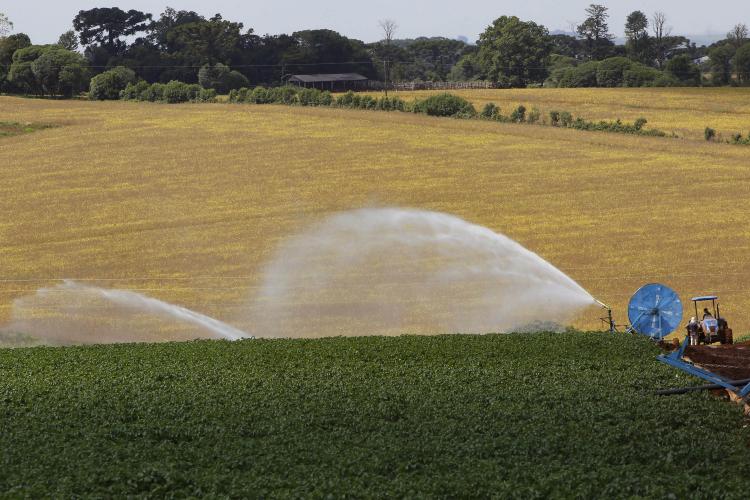 Banco do Agricultor atinge um bilhão de reais em financiamentos