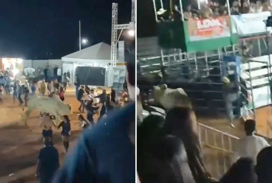 Touro escapa durante rodeio em Goiás e assusta público