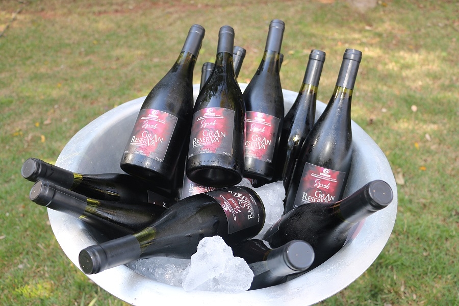 Vinhos finos de Minas Gerais brilham na Wine Trade Fair 2025