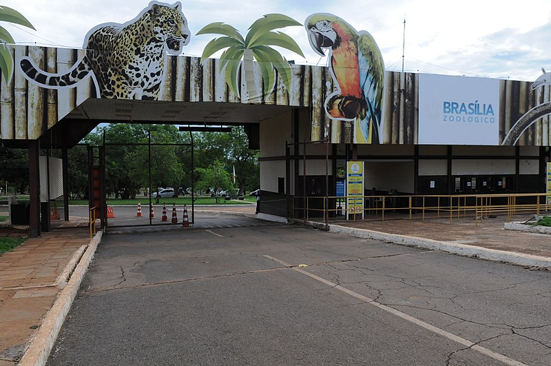 Zoológico de Brasília é fechado após suspeita de gripe aviária