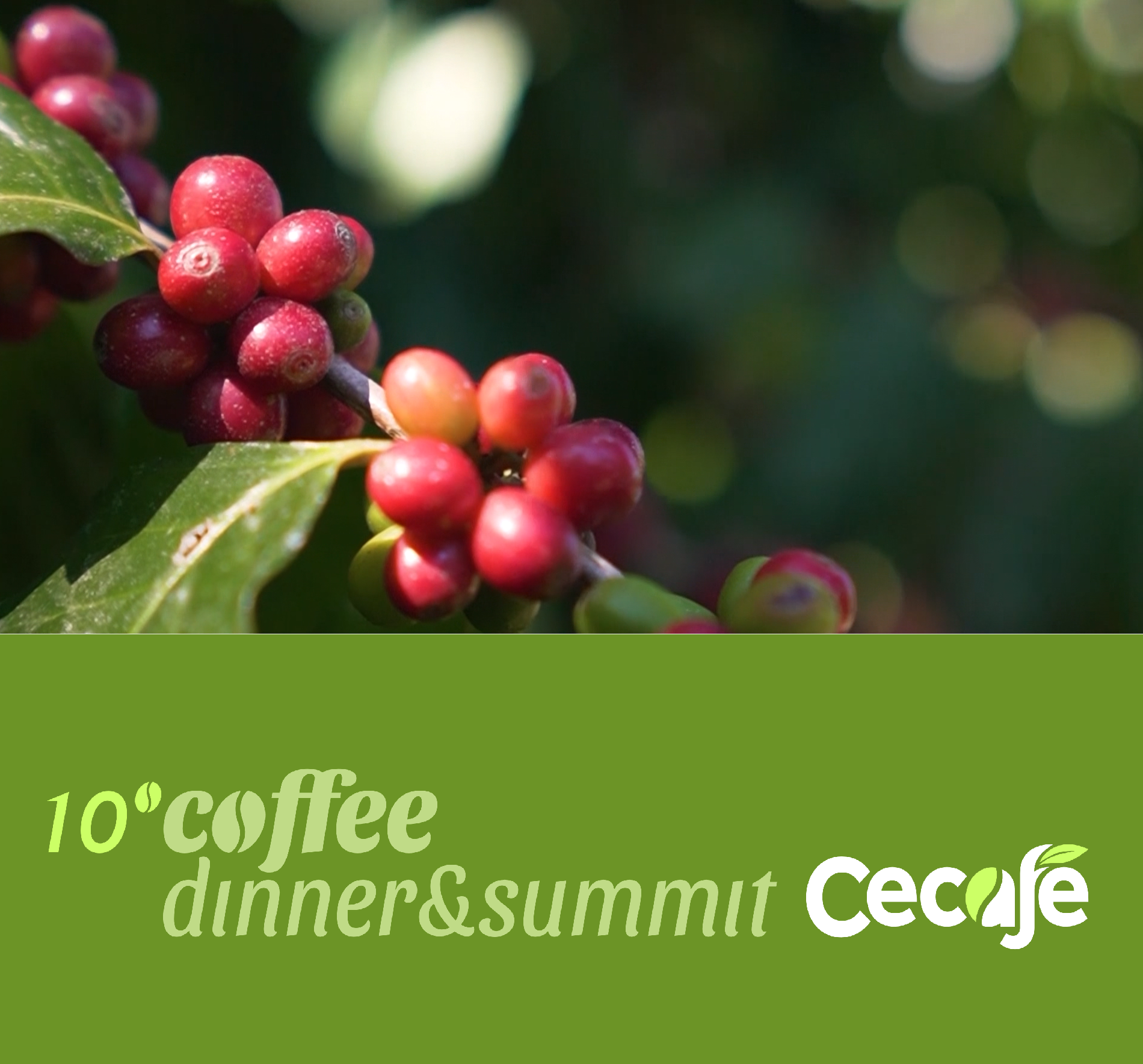 Ingressos esgotando para o 10º Coffee Dinner & Summit 2025