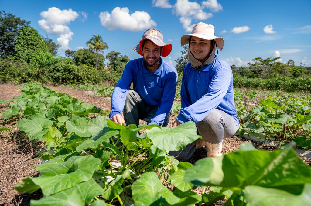 Governo de Mato Grosso investe R$ 720 milhões para impulsionar agricultura familiar