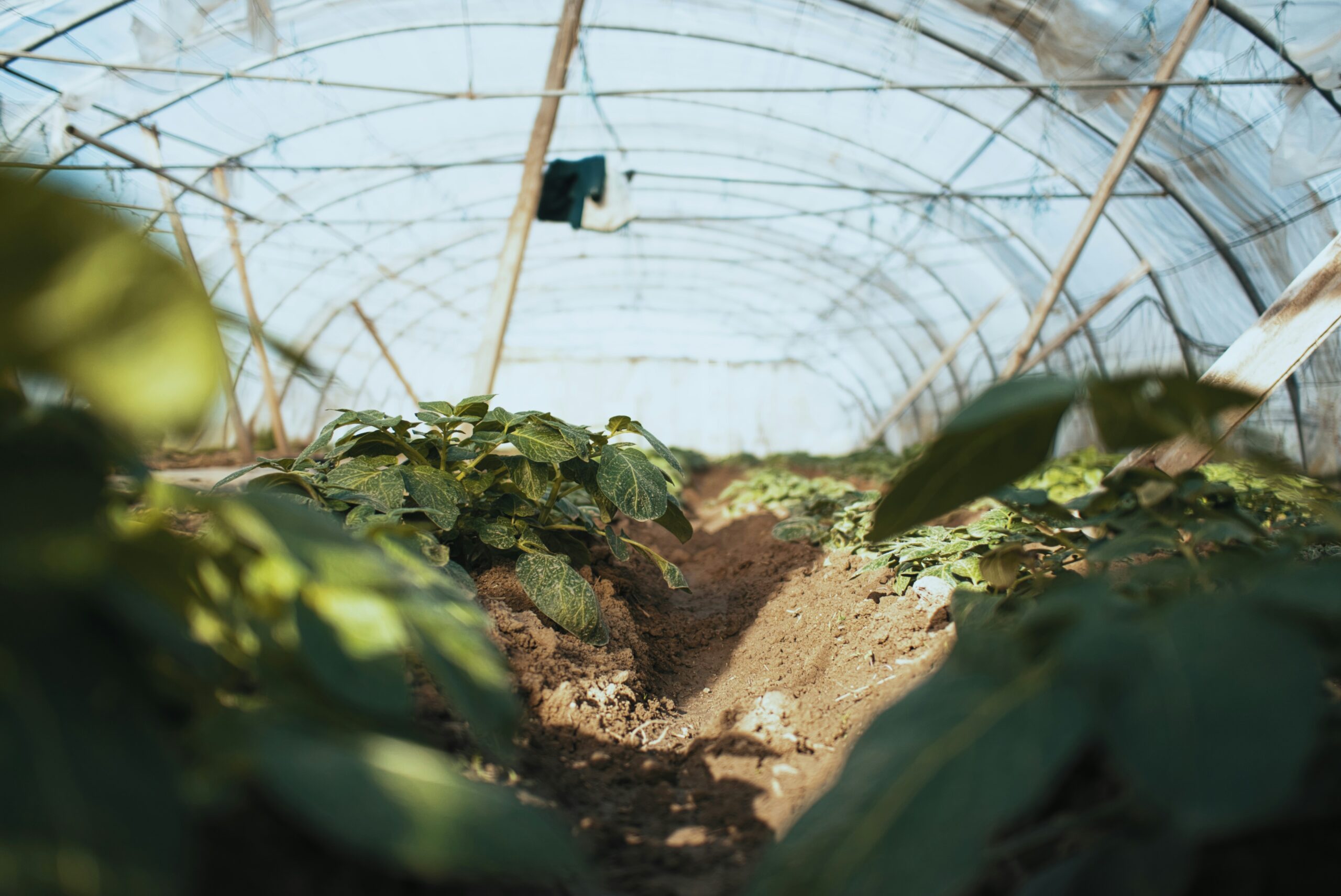 Cientistas desenvolvem nanotecnologia para proteção UV do solo agrícola