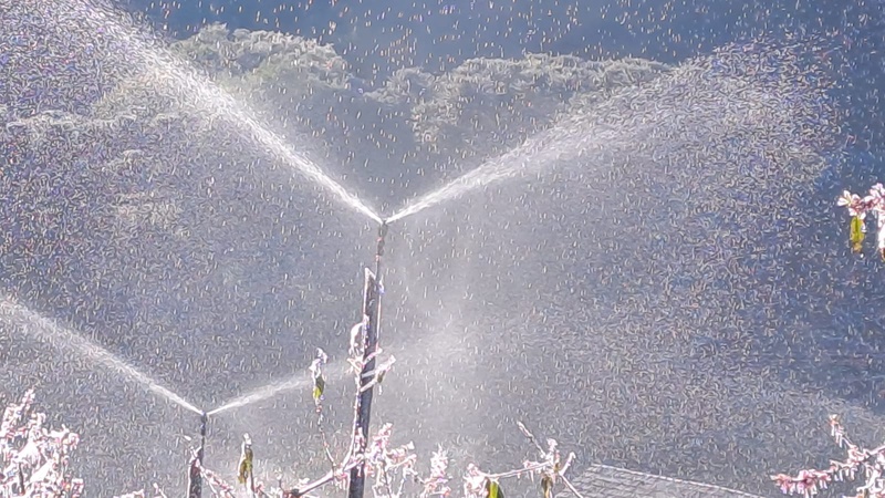 Irrigação se destaca no inverno como estratégia essencial