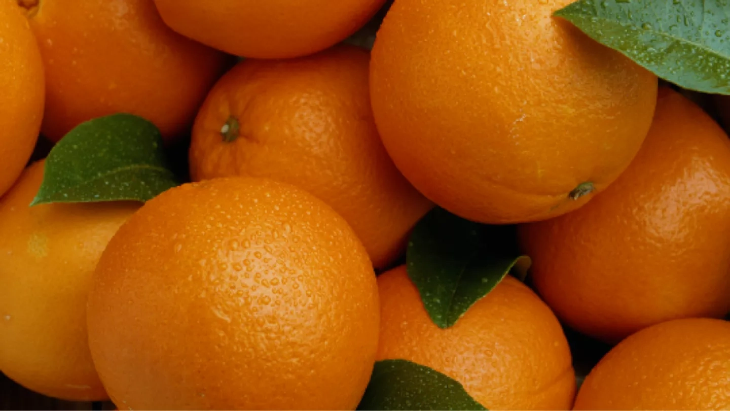 Exportações de suco de laranja têm melhor julho em três anos