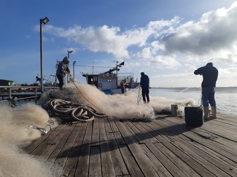 Ministério anuncia fim da pesca da tainha