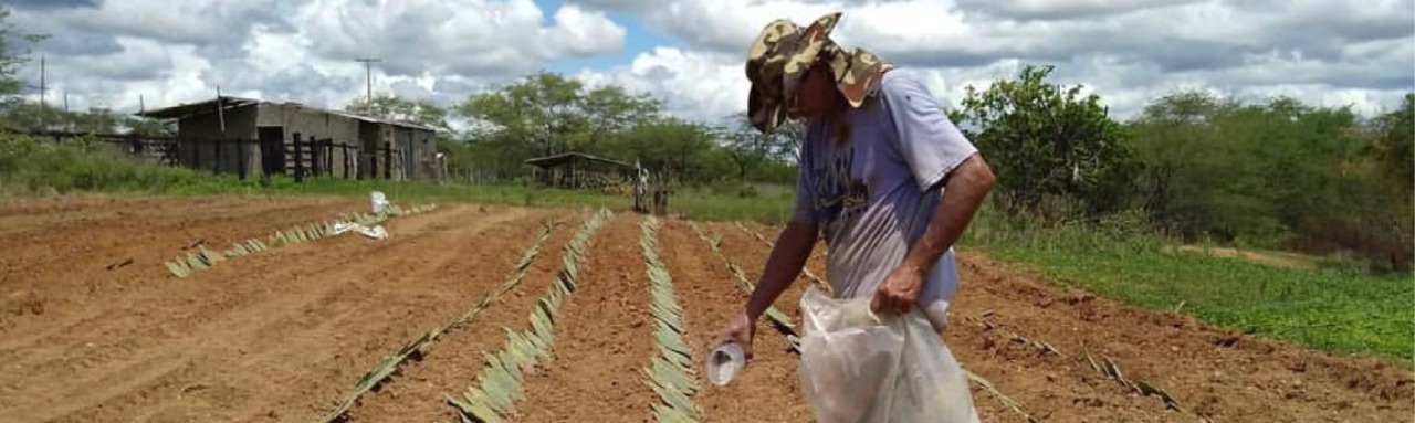Seca grave atinge 20% do Rio Grande do Norte