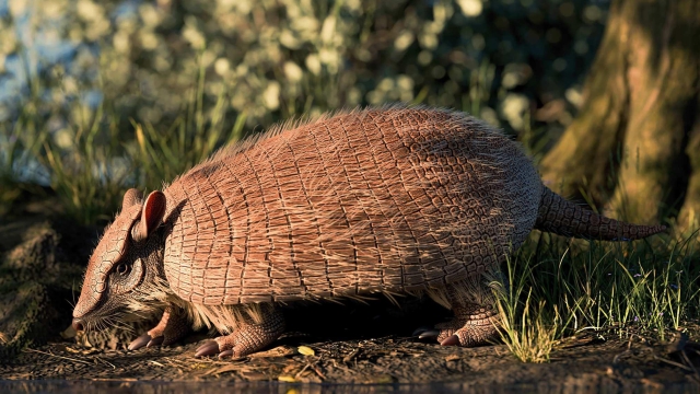 Parutaetus oliveirai: o tatu de 40 milhões de anos