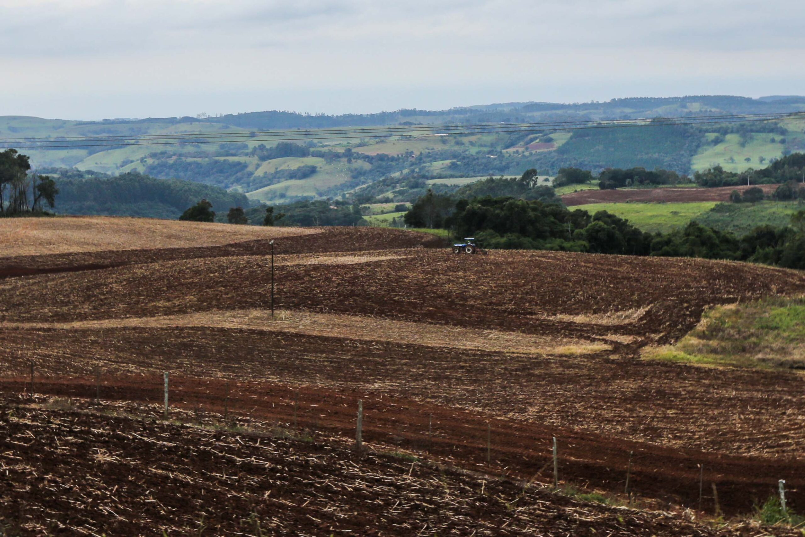 Sudoeste do Paraná inicia vazio sanitário da soja 