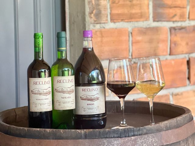 Vinhos artesanais conquistam qualidade e se preparam para o mercado