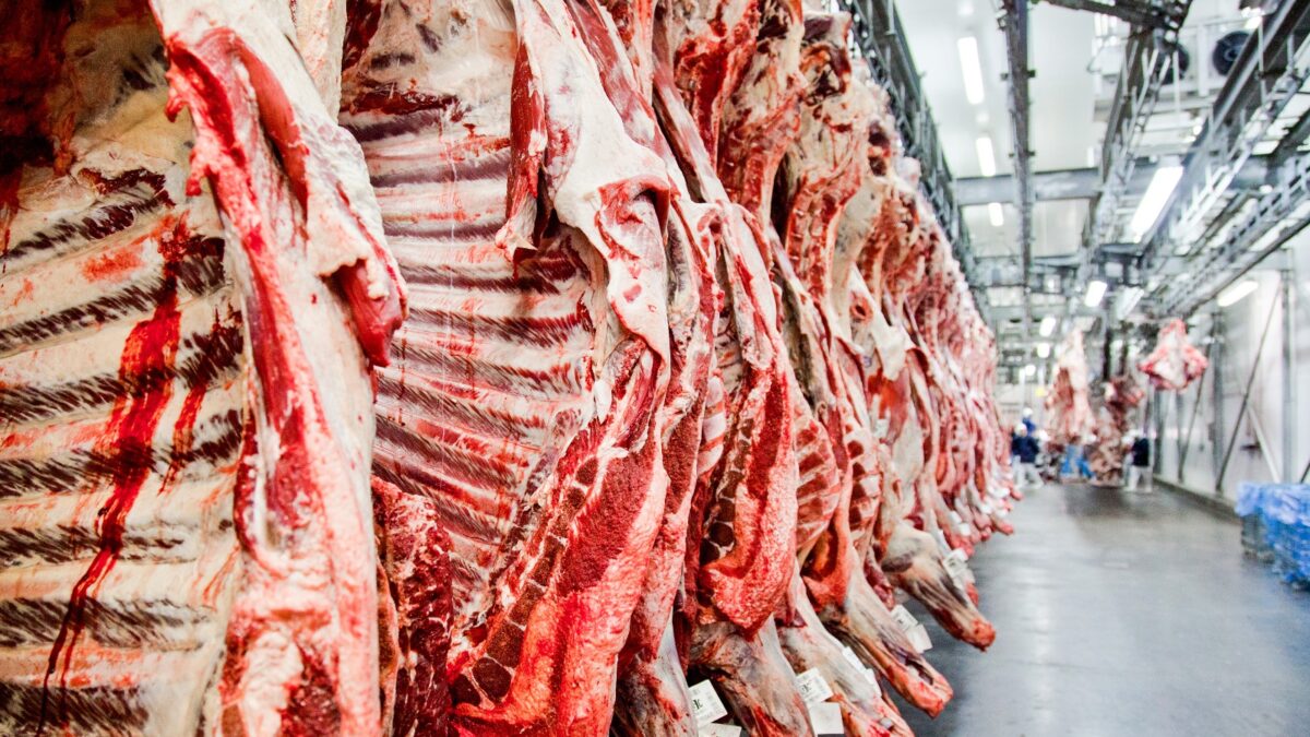 Frigoríficos dão férias coletivas após limite de exportação à China