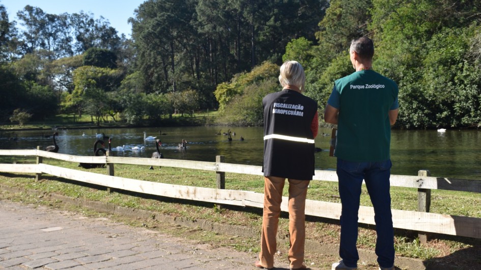 Foco de gripe aviária é encerrado no Zoológico de Sapucaia do Sul