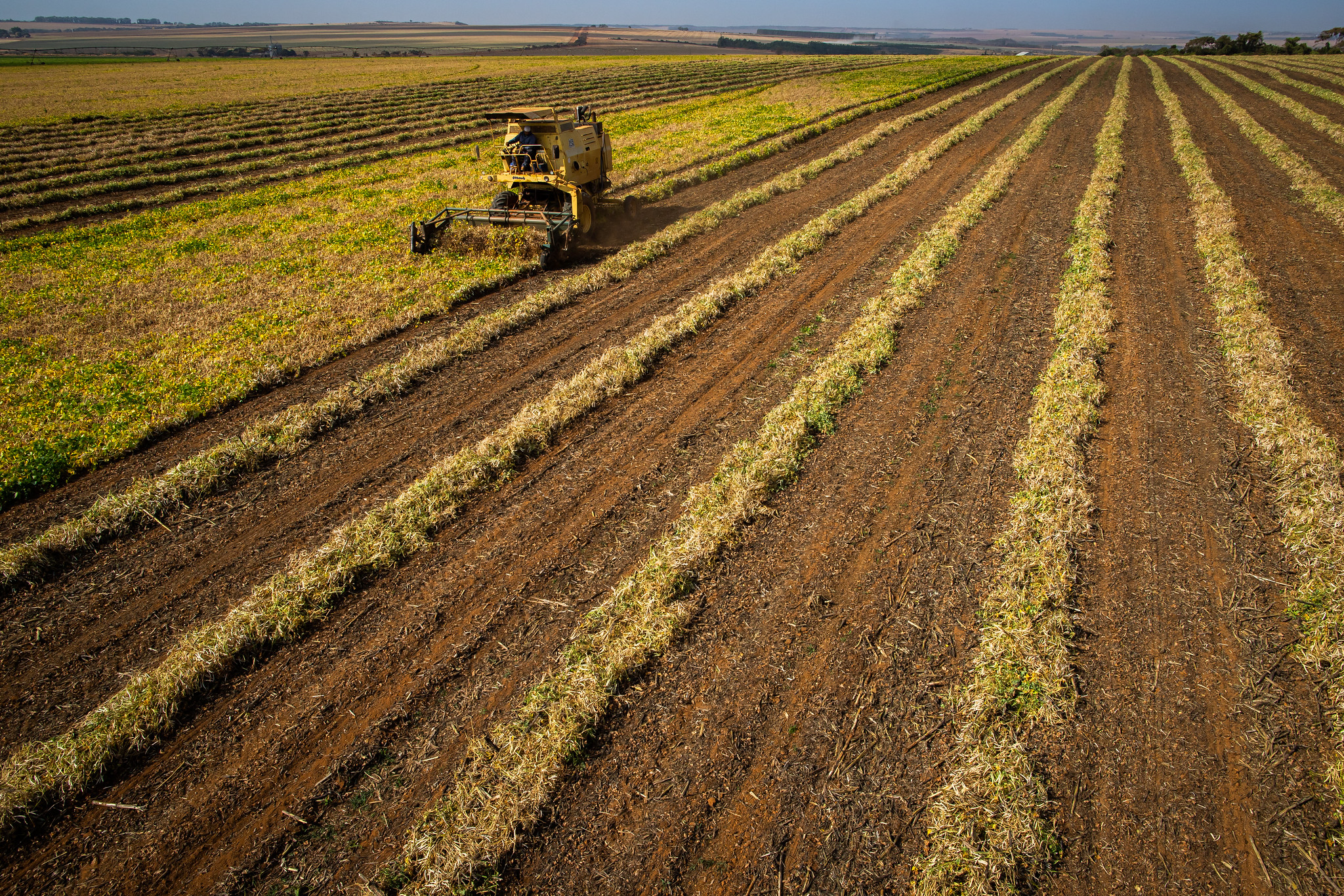 Ex-tarifário acelera modernização agrícola e reduz custos para produtores rurais