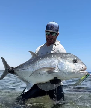Giant Trevally – o predador gigante dos oceanos