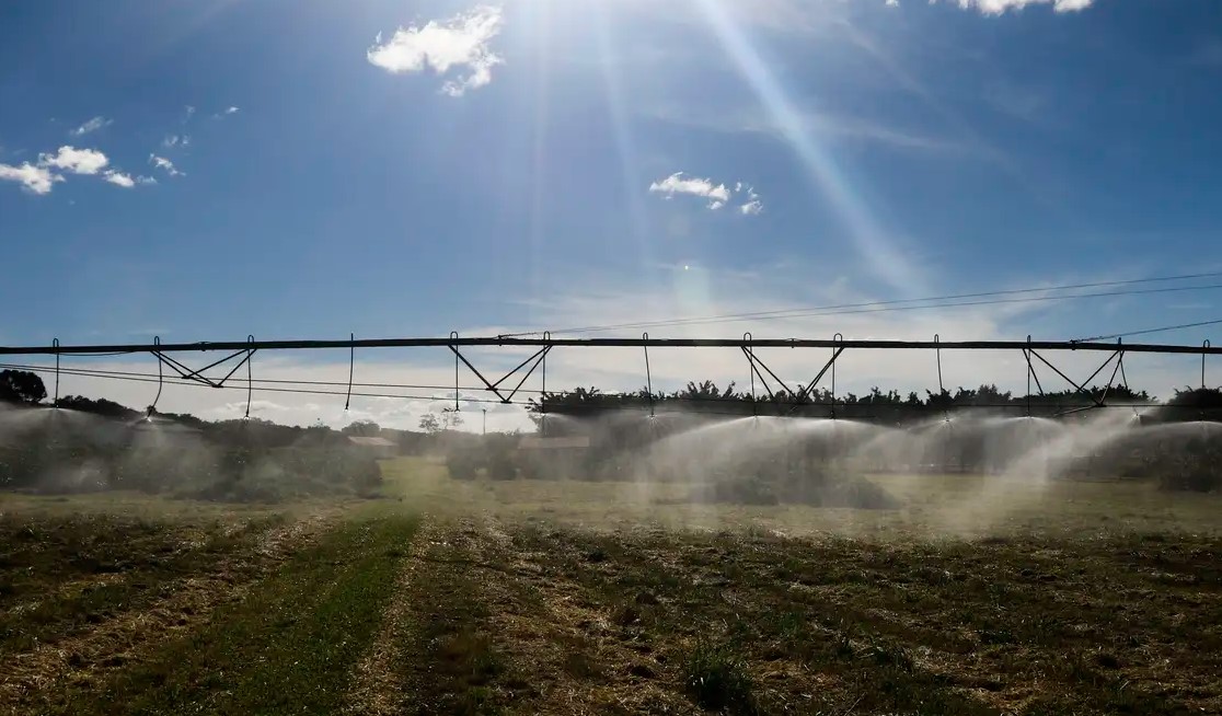 Crédito é a base para escalar o agro, diz gerente do Sicoob ES