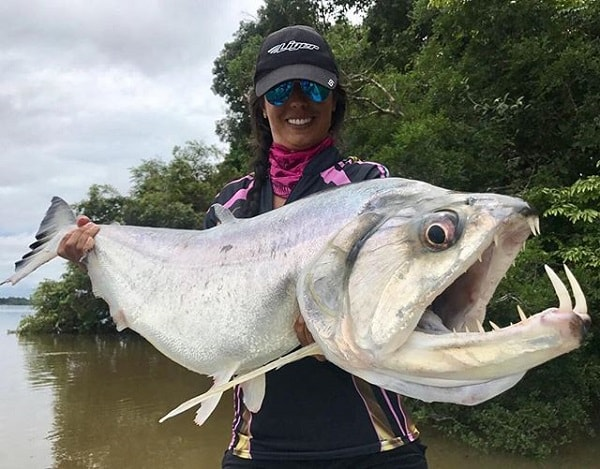 Conheça o temido peixe vampiro dos rios amazônicos