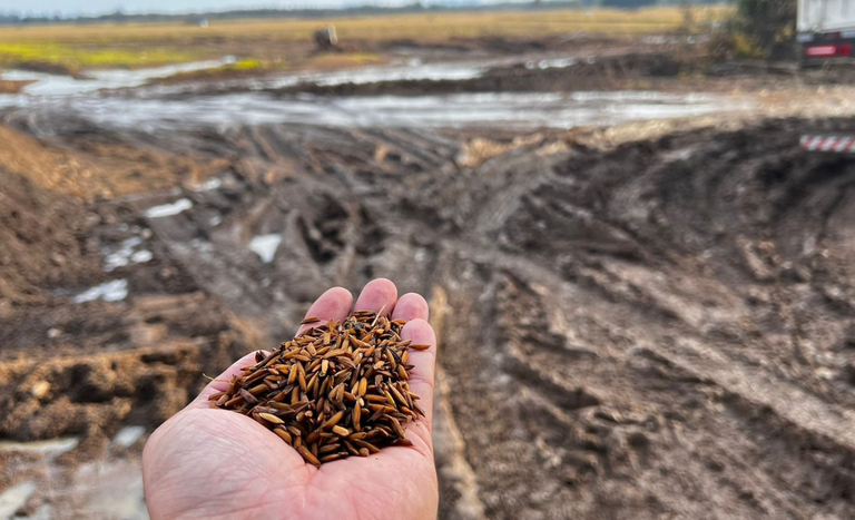Governo cria grupo para discutir dívidas de produtores rurais do RS 