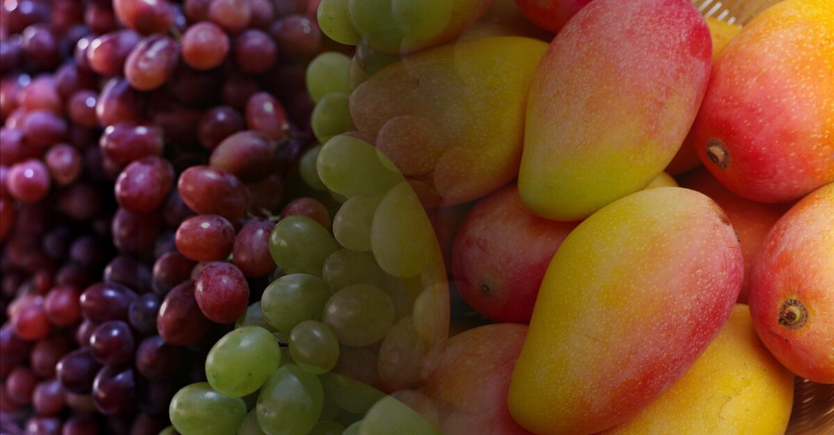 Brasil diversifica mercados após ameaça de tarifas americanas sobre frutas tropicais