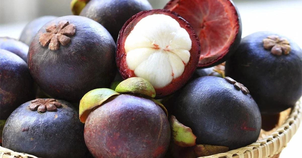 mangostão