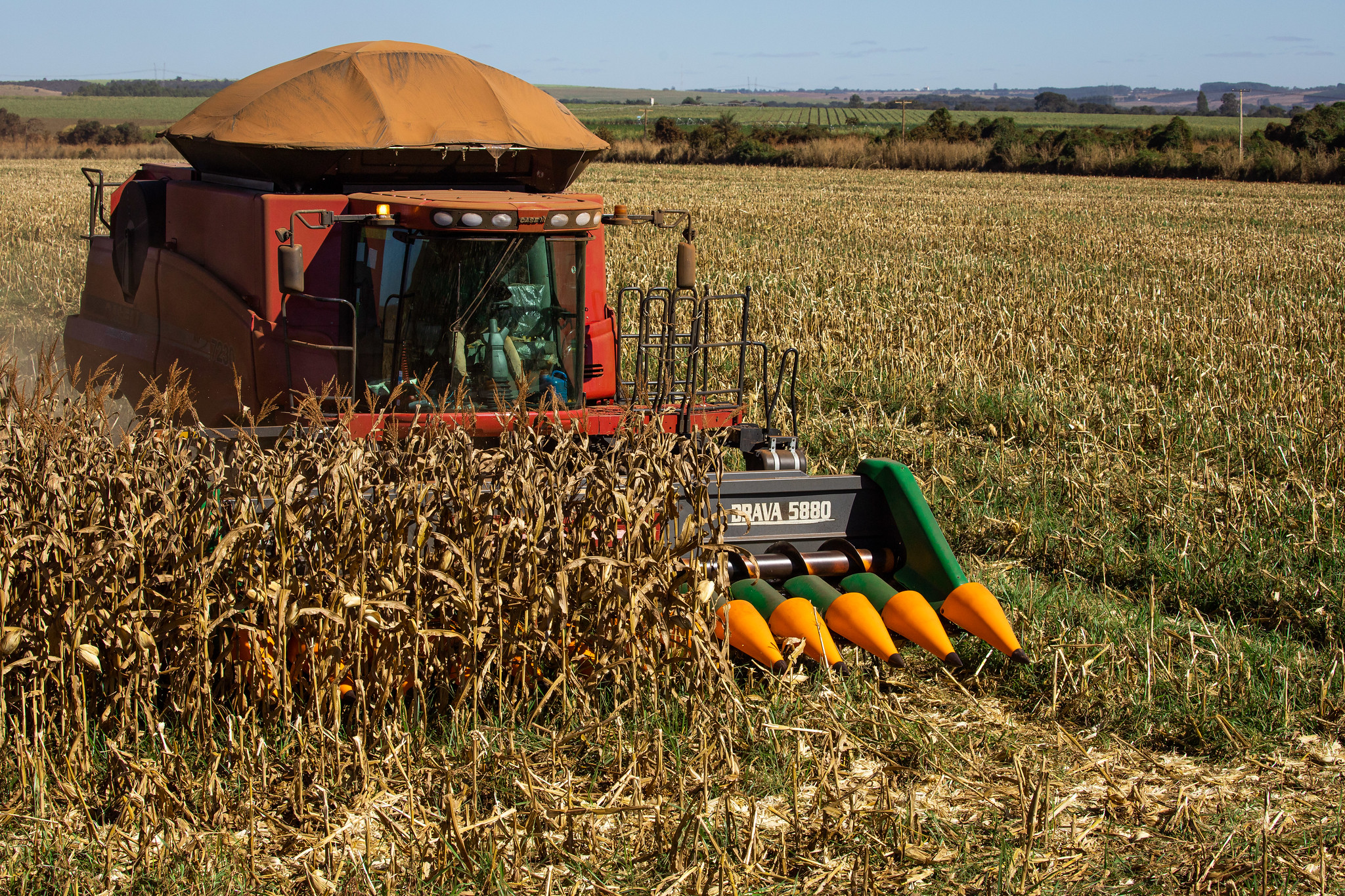 Com impulso do agronegócio, imóveis valorizam até 18% em Campo Grande no último ano