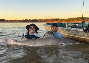 Guia de pesca captura piraíba gigante em Luís Alves