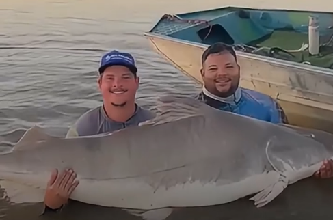 Guia de pesca captura piraíba gigante no Rio Araguaia