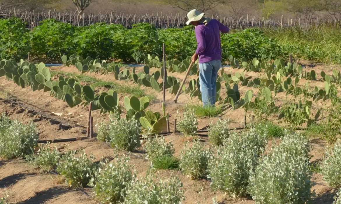 CNPJ passa a ser obrigatório para produtores rurais em todo Brasil