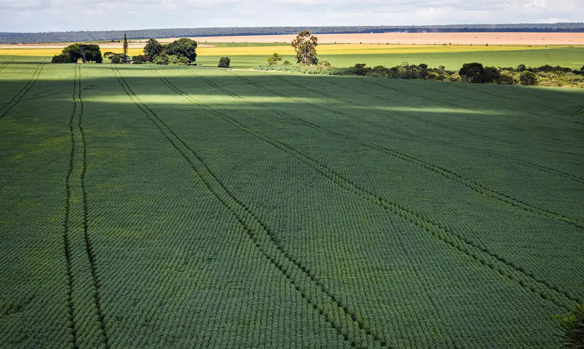 Agro quer ser parte da solução na COP30, afirma Abag